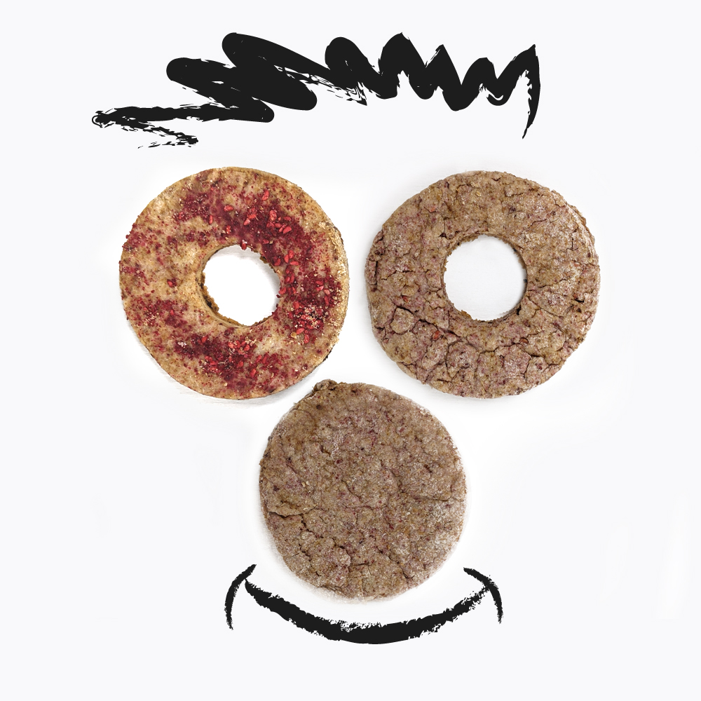 Baukery - biscotti a 2 zampe