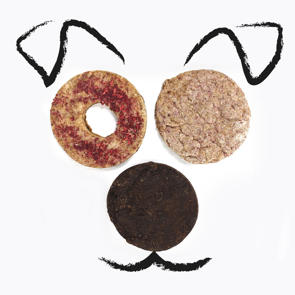 Baukery - biscotti a 4 zampe