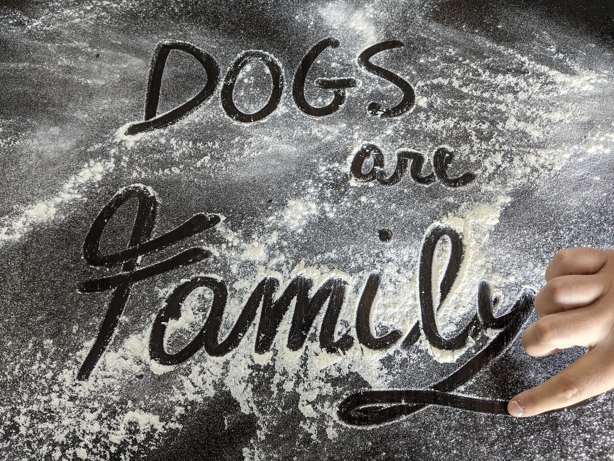 baukery - dogs are family